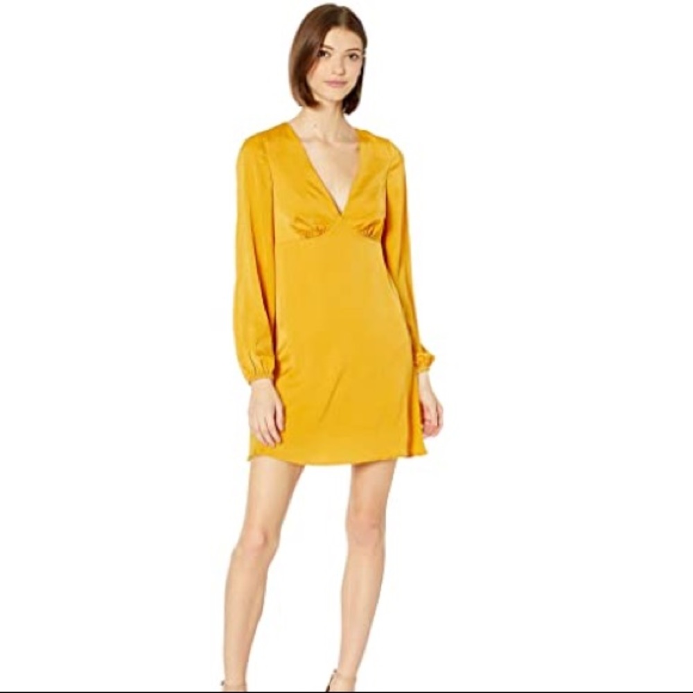 BCBG Dress Size 8 NWT
